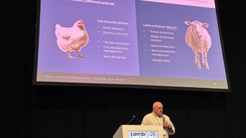 Boosting lamb efficiency: a chicken-and-egg solution to drive profitability