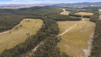 Little Billabong's Montana offers plenty of potential in a sort after area