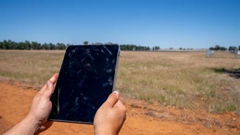 Why the biggest AI risk for farmers is in the office, not the paddock