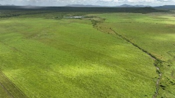 Major cattle property tops $34m in-line with pre-sale expectations | Video