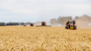 Global grain prices surge, but Australian growers kept waiting for benefits