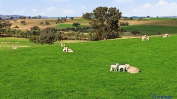 Productive mixed farming operation with quality infrastructure | Photos