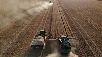 Riverina operations Cowl Cowl, Wyadra hit the market expecting $200m-plus