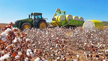 Cattle station at heart of the NT's cotton future back on the sales market