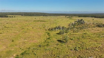 Well located, productive cattle country with potential hits the market