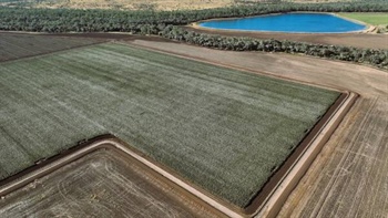 Prime irrigation, dryland farming property underpinned by secure water