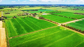 Patience pays dividends for owner of irrigated farm in northern Victoria