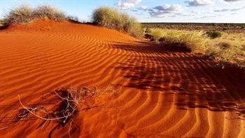 More of the nation's dry desert land added to conservation land quota