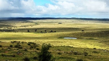 Thomas family offloads big Mid North sheep property after 48 years