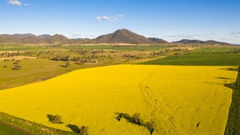 GrainCorp argues "compelling" case for the push for Aussie biofuel sector