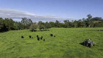 Magnificent 1295 acre Carrs Creek delivers quality rural lifestyle | Video
