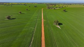 Maxwell Ag's institutional-scale cropping operation expected to top $33m