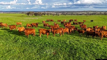 Highly productive 2967 acre farming and grazing operation with potential