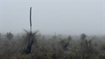 Inland areas shiver through near-record cold as lingering fog settles