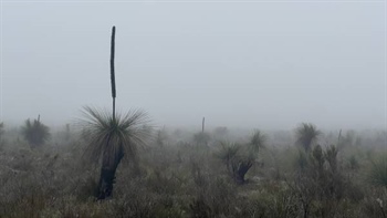 Inland areas shiver through near-record cold as lingering fog settles
