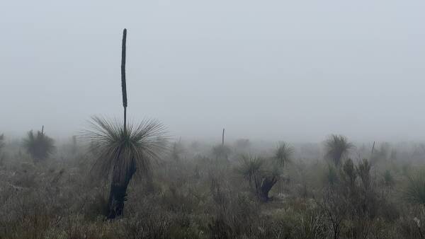 Inland areas shiver through near-record cold as lingering fog settles