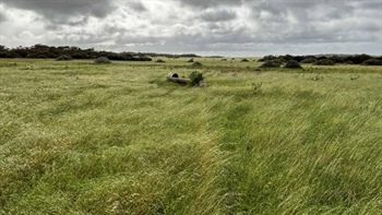 Opportunity for first-time buyers with sale of Paddy's Lakes in SA