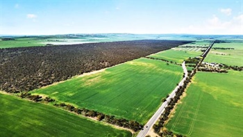 Clifford family offers long-held SA cropping land for sale and lease