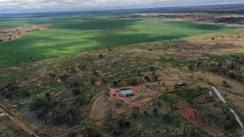 Well developed, exclusion fenced country lifts Pye's meat sheep production