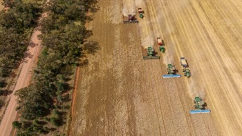 The complex truth behind Australia's global wheat price reputation
