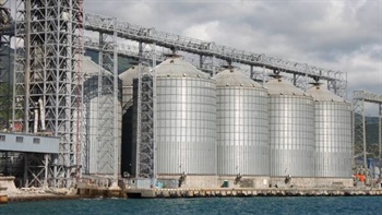 Global grain prices soar, wheat hits two-year highs amid supply chain fears