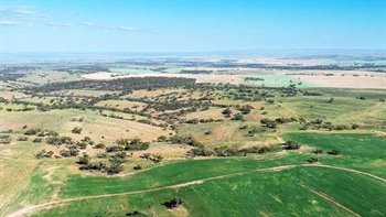 A 750ha SA grazing farm has hit the market with room to grow