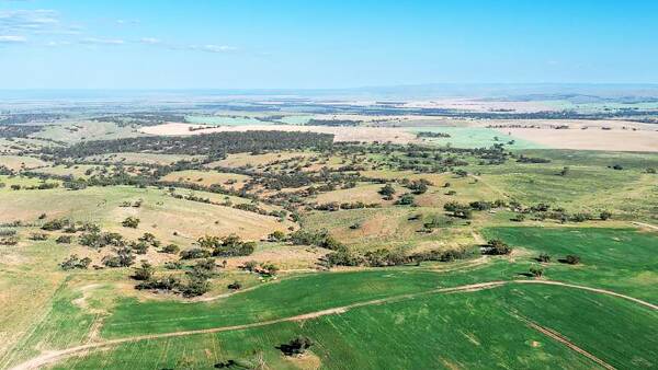 A 750ha SA grazing farm has hit the market with room to grow