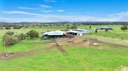 Loomberah Park a premium property with first class improvements | Photos