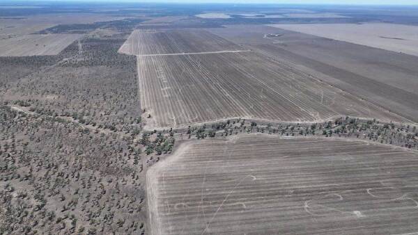 North west property with well developed farming country sold at auction