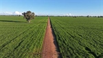 Farming property available as a whole, or in two separate blocks | Photos