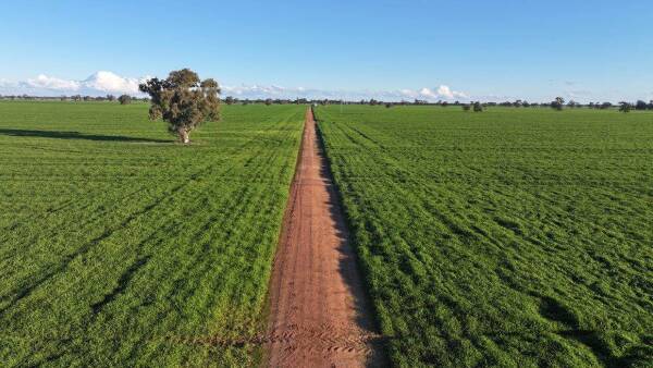 Farming property available as a whole, or in two separate blocks | Photos