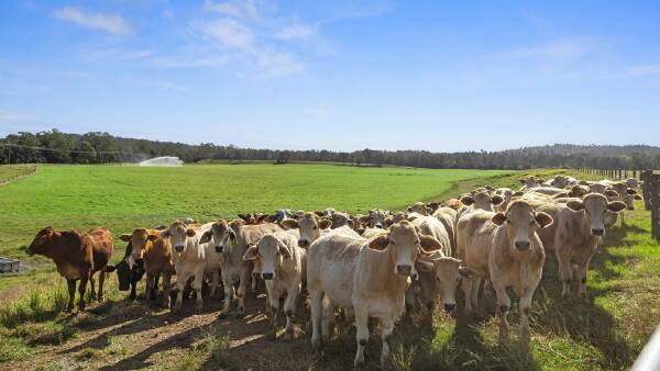 Elite irrigation, hay production country for 800 cattle asking $10 million