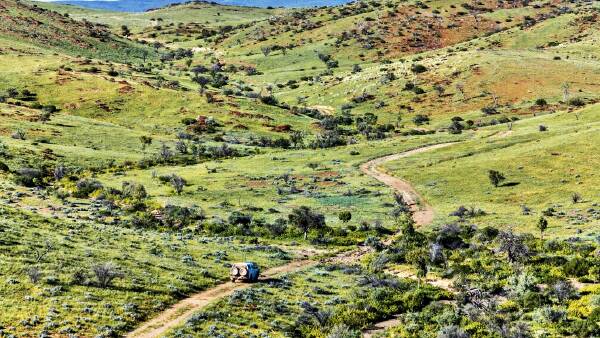 Strong confidence drives the sales of two big SA pastoral stations