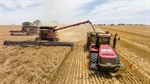 Drone war explained: what Black Sea chaos means for Aussie grain growers