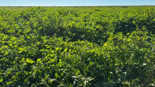 Major aggregation with an impressive 6500 acres of arable country