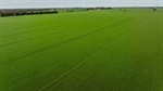 Productive farming, grazing property with excellent water security | Video