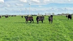 Victoria's Mortlake becomes a hotspot for the sale of big farm portfolios
