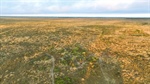 CQ's standout Laglan Pastoral to be sold on a walk in, walk out basis