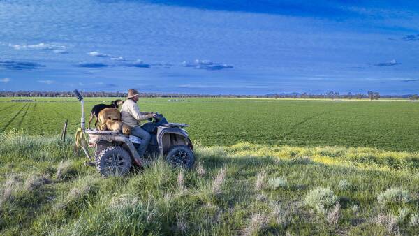 Irrigation powerhouse presented with a 2000 megalitre water licence | Video