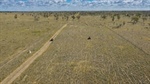 Negotiations continuing on substantial 12,864 acre western grazing property