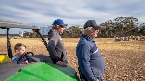 Trust tax reforms leave state duty questions hanging over farm families