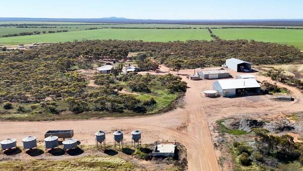 Farm sales hit record low as price expectations clash