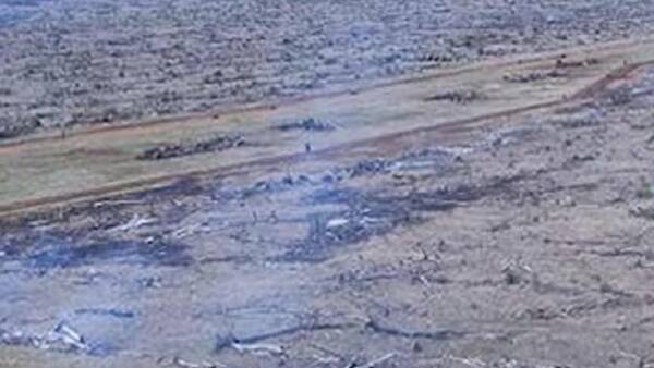 Cattle station handed first-ever order to stop land clearing under EPBC reforms