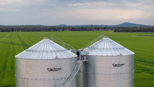 Market lessons: what being long or short really means for grain growers